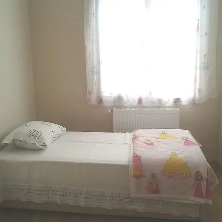 174895 - Atta * Sapanca